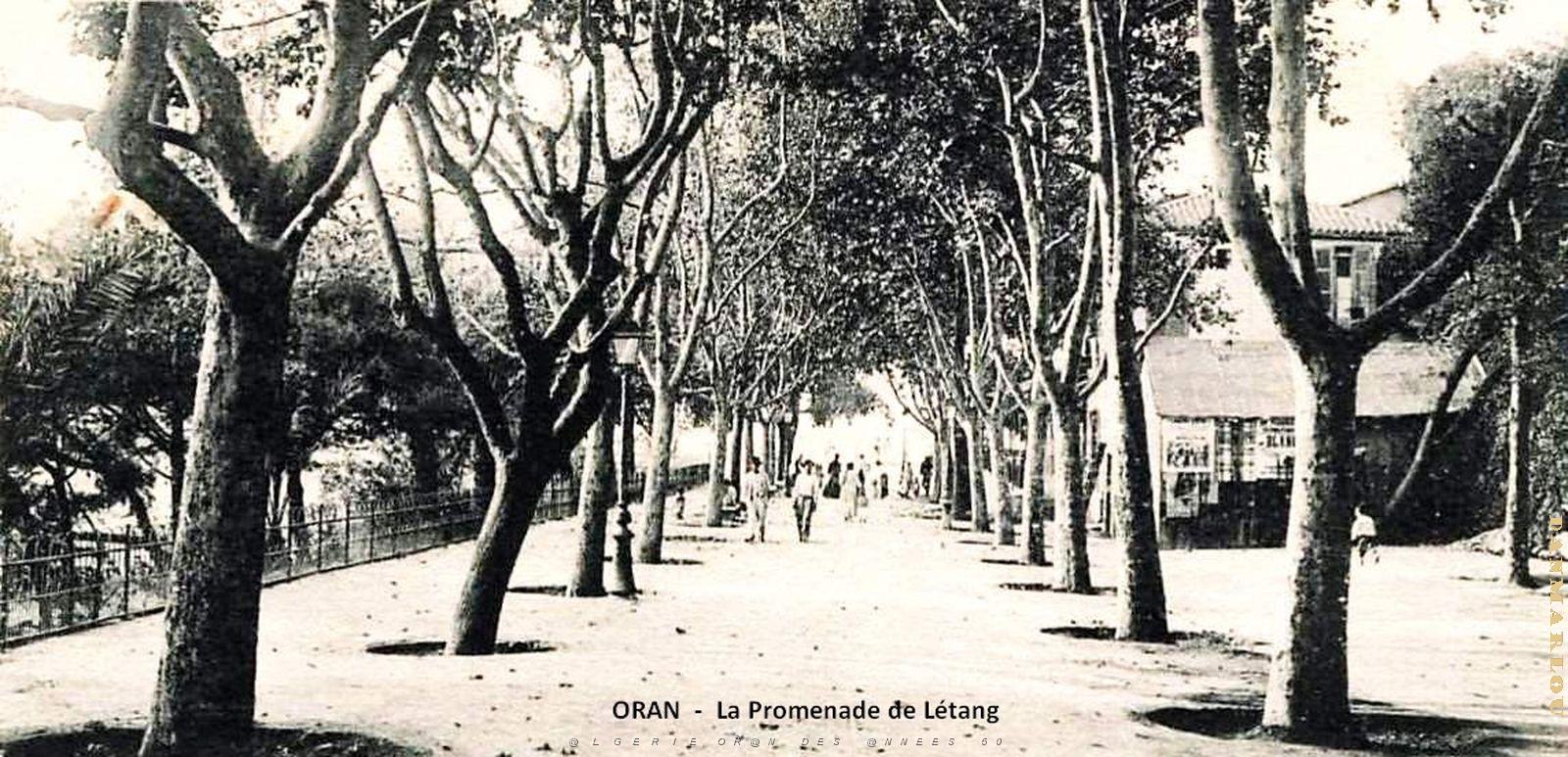 Oran - Promenade de Letang .jpg